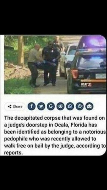 government fbi cia doj fake news protect pedophiles - burrowtv.com