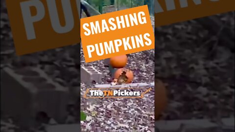 12 gauge shotgun shooting pumpkins #shorts