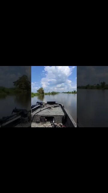 Boat ride in the tracker grizzly fish gitter!