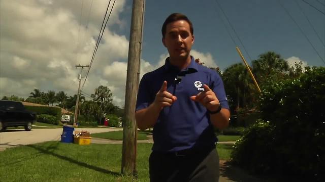 Dealing with yard debris before, after storm