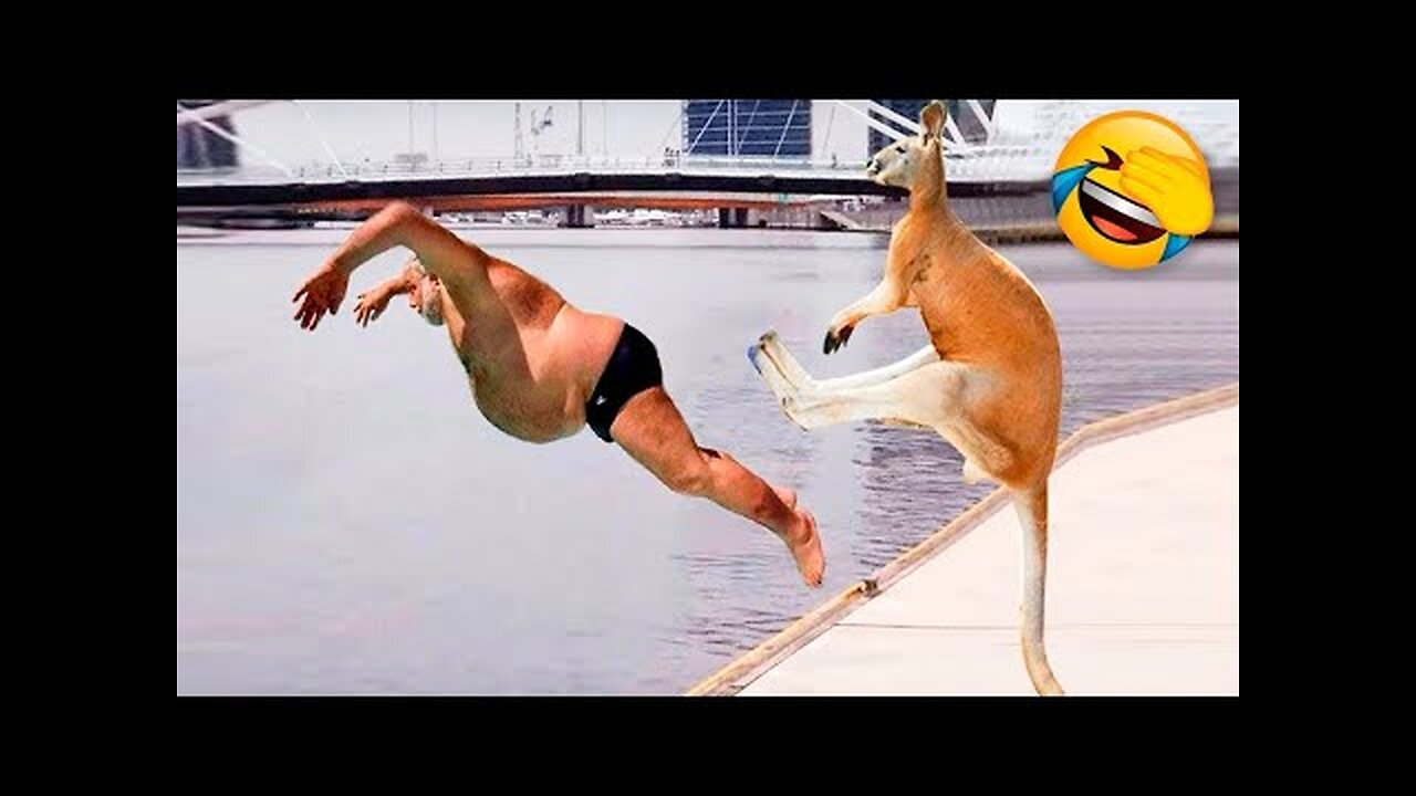 Funny Animals Video - Best Cats😹 and Dogs🐶 Videos of the Month 2022! #3