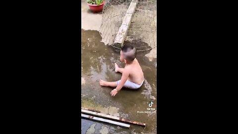 Funny video WhatsApp status