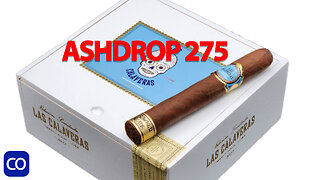 CigarAndPipes CO Ashdrop 275