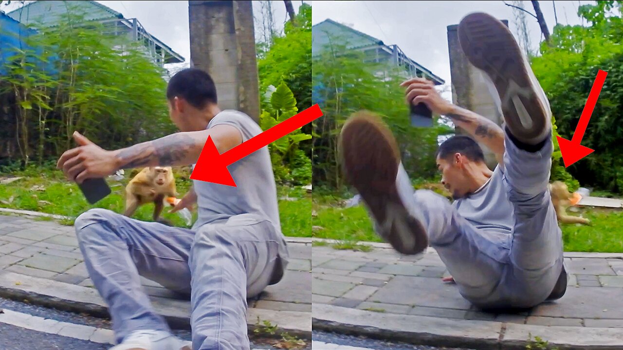 I Got Robbed by a Monkey in Thailand