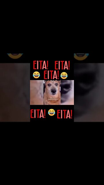 ASSISTA ESSE E OUTROS VIDEOS COMPLETOS E SE INSCREVE NO CANAL META DE 100 INSCRITO VAMOS GALERA 🙏