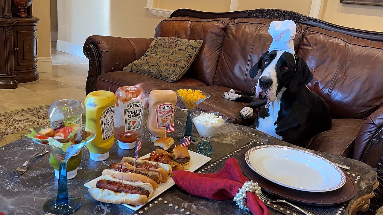 Festive Great Danes enjoy holiday hotdogs & burgers