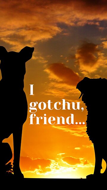 Never Forget the Friend Who Filled Your Empty Pockets