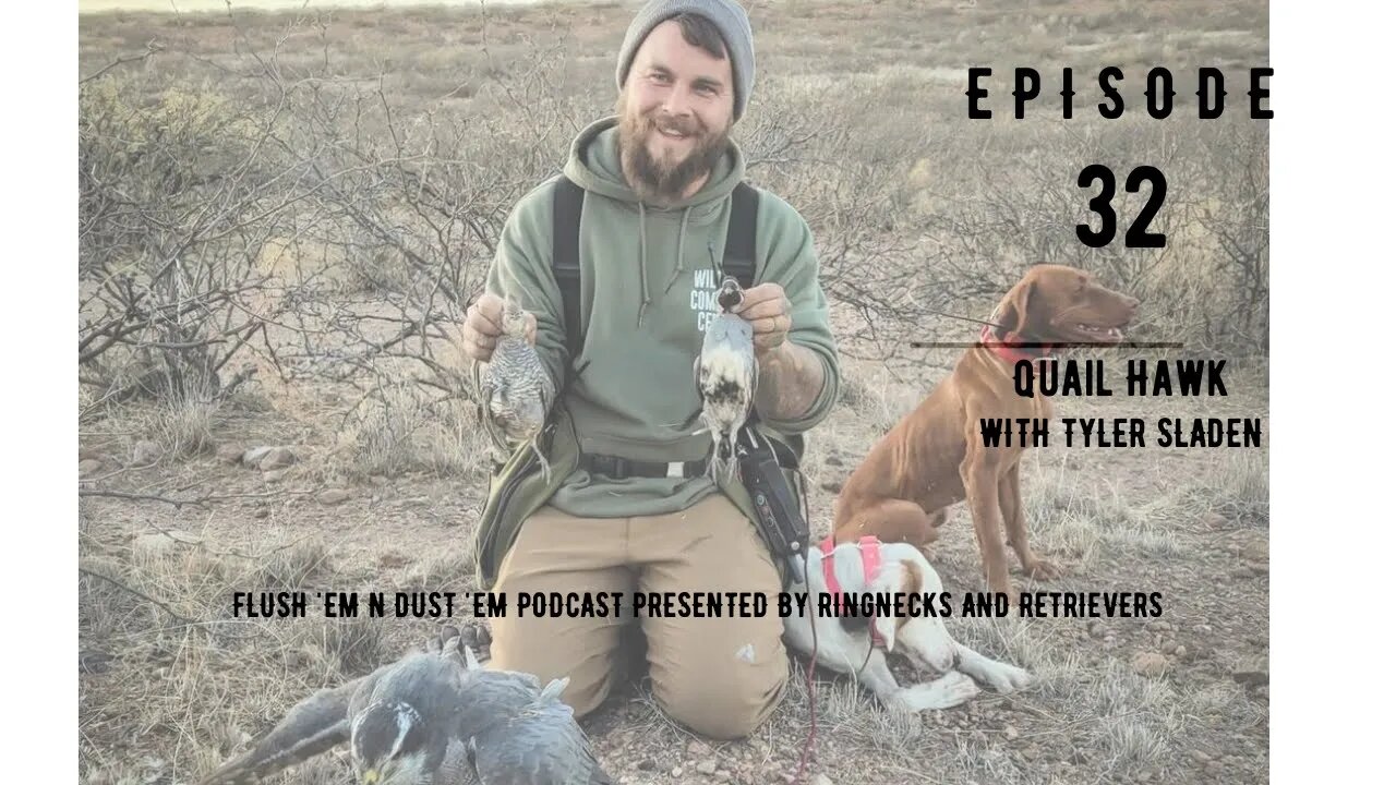 Falconry with Quail Hawk - Podcast