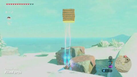 The Legend of Zelda Breath of the Wild I found the Forgotten Sword