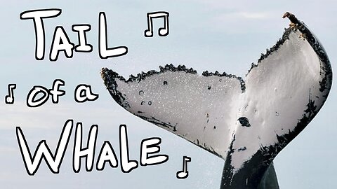 Tail of a Whale Song