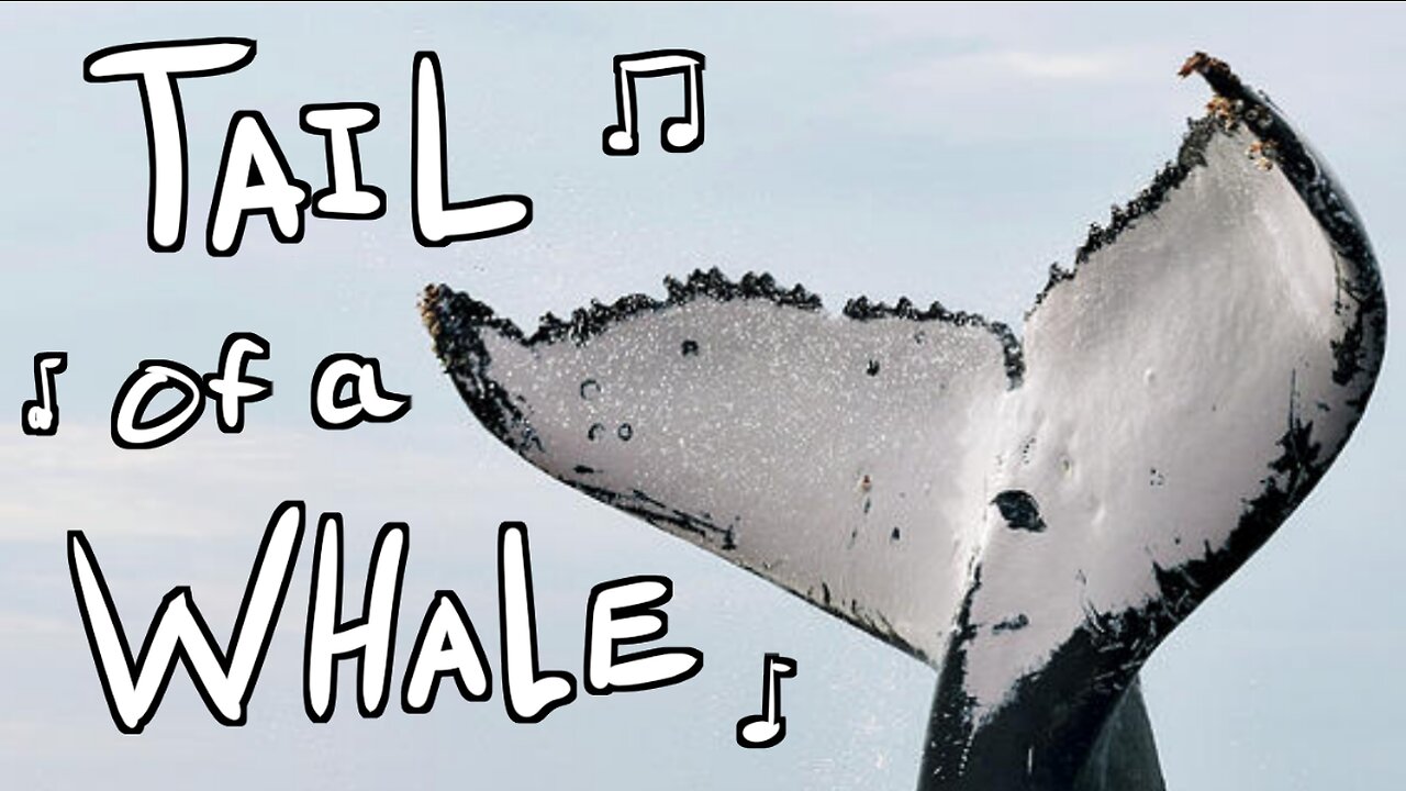 Tail of a Whale Song