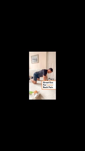 Which exercise are best for back pain?