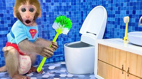 Monkey Baby Playing in Toilet - Monkey Breakfast