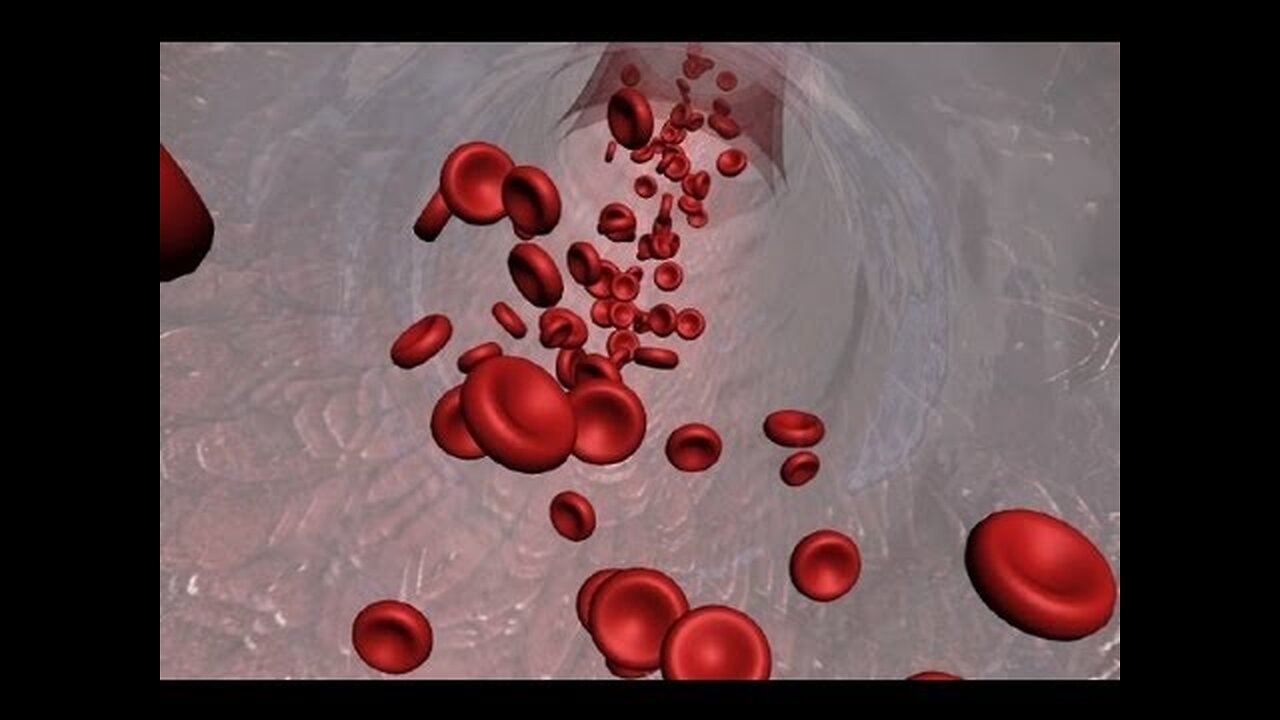 Animated Introduction to Cancer Biology (Full Documentary)