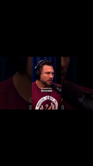 A CRITICA QUE IMPORTA | PAULO MUZY