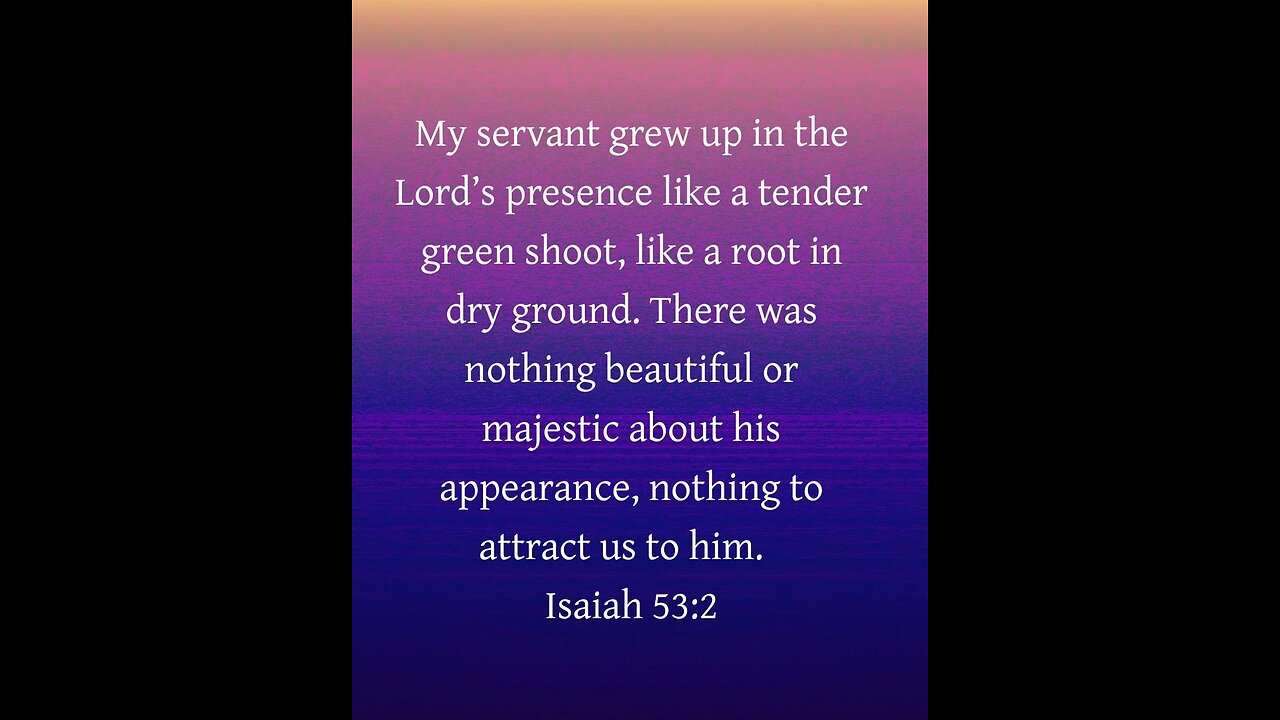 Seeing Jesus in a Dream