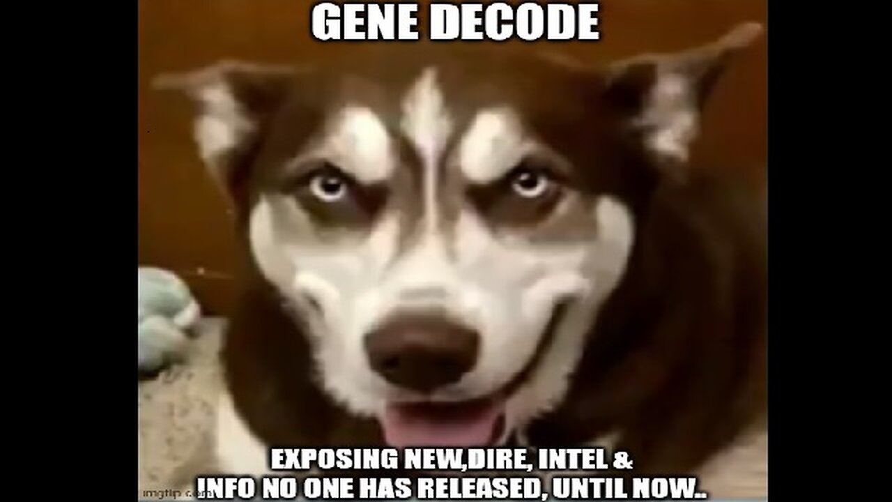 Gene Decode ~ Exposing New Intel & Info No One Has Released, Until Now!!