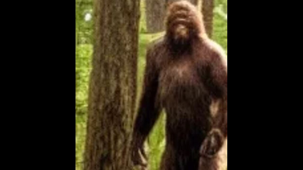 Sasquatch (Bigfoot) removes man off mountain