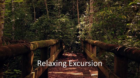 Relaxing Excursion