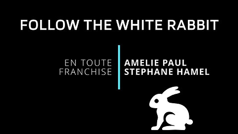 Stéphane Hamel & Amélie Paul - Follow the white rabbit