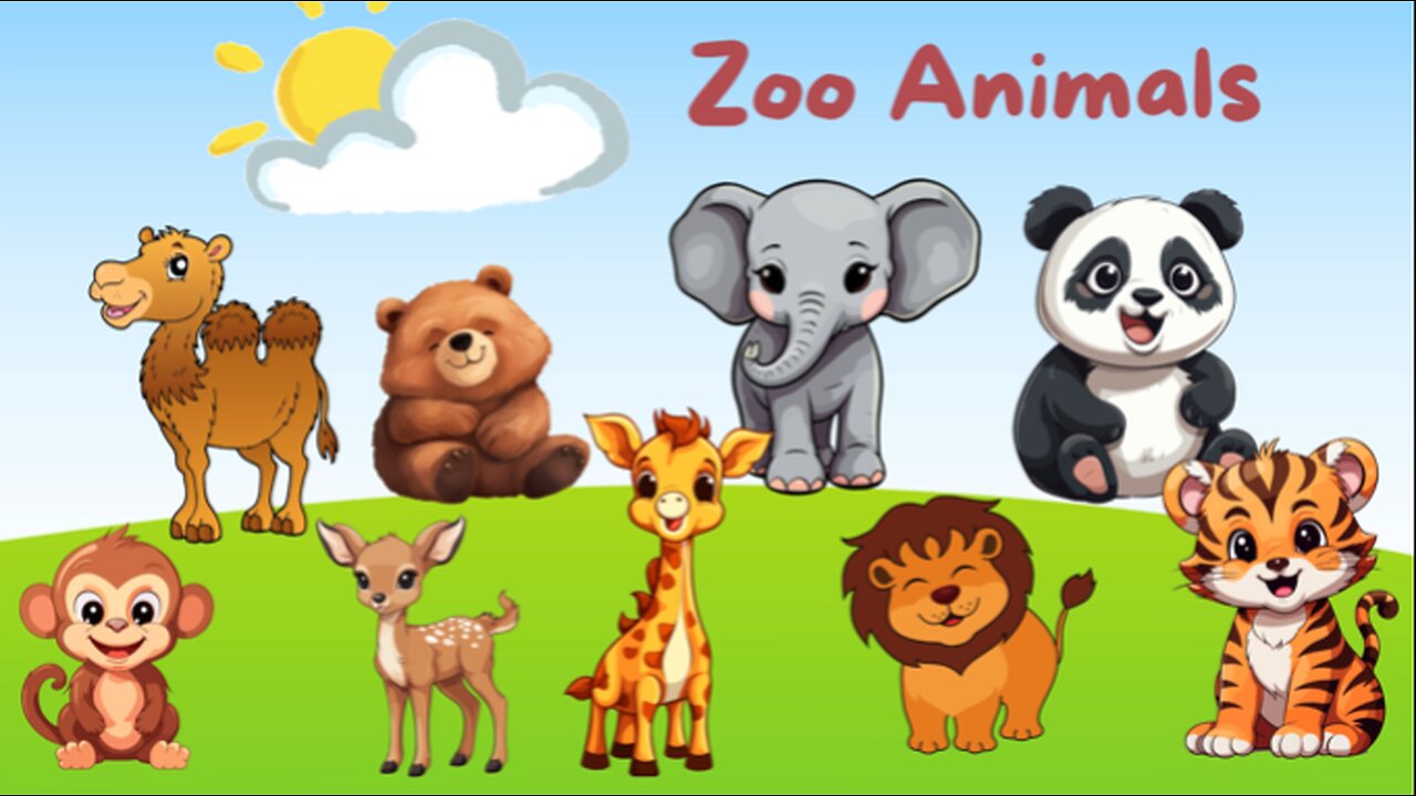 Star Zoo Animals