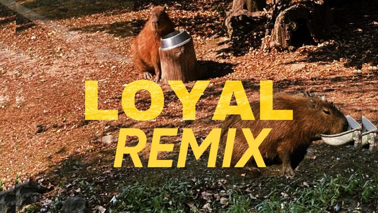 MVSA - LOYAL (REMIX)