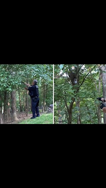 Police rescue raccoon with head stuck in jar