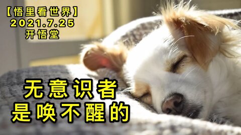 KWT2150无意识者是唤不醒的20210725-2【悟里看世界】