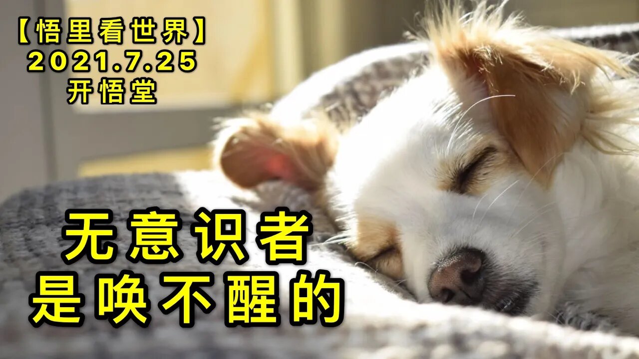 KWT2150无意识者是唤不醒的20210725-2【悟里看世界】