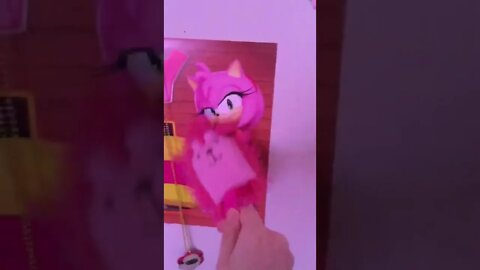 Amy And The Pink Hedgehog Duster! 2021 #Shorts 😂
