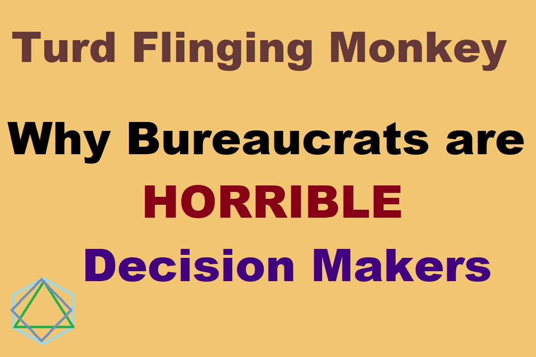 Turd Flinging Money discusses why BUREAUCRATS make HORRIBLE Decision Makers