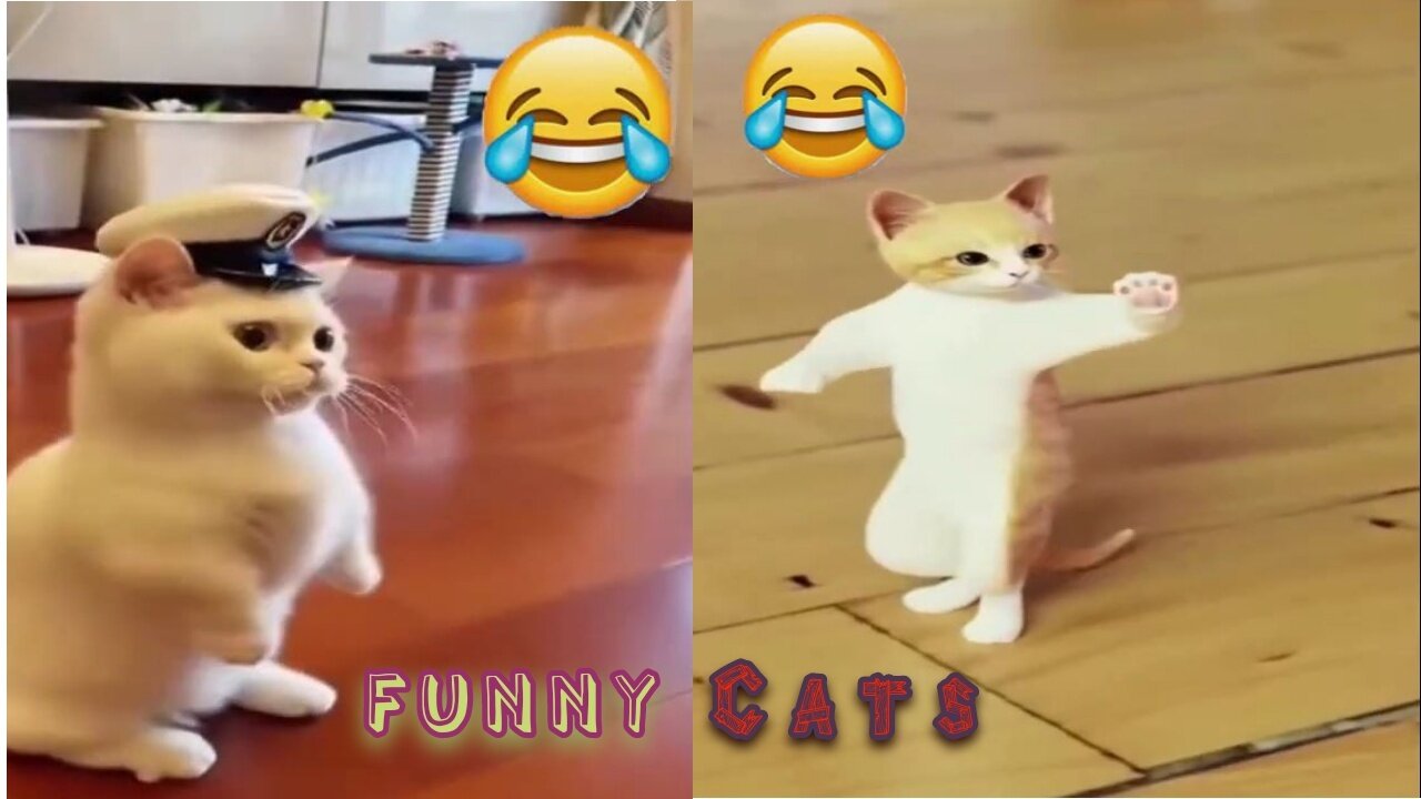 Best Funny Cats and Dogs Videos | Funniest Animals Videos | Laugh out Loudly #funny #animals