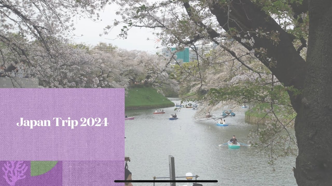 Things To Do in Japan 2024! #shenmue