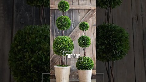 Topiary Art, Parterres and Knots examples🌲#shorts