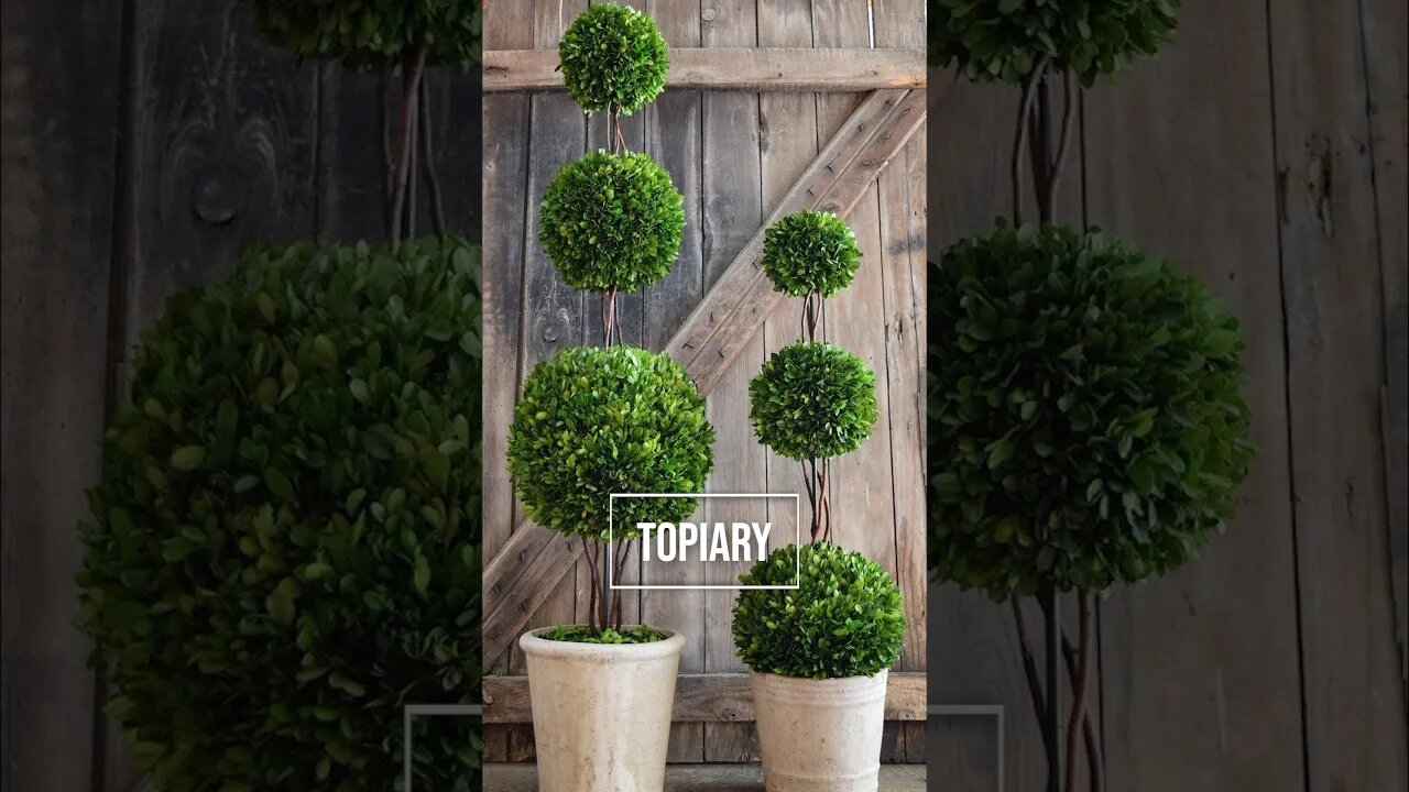 Topiary Art, Parterres and Knots examples🌲#shorts