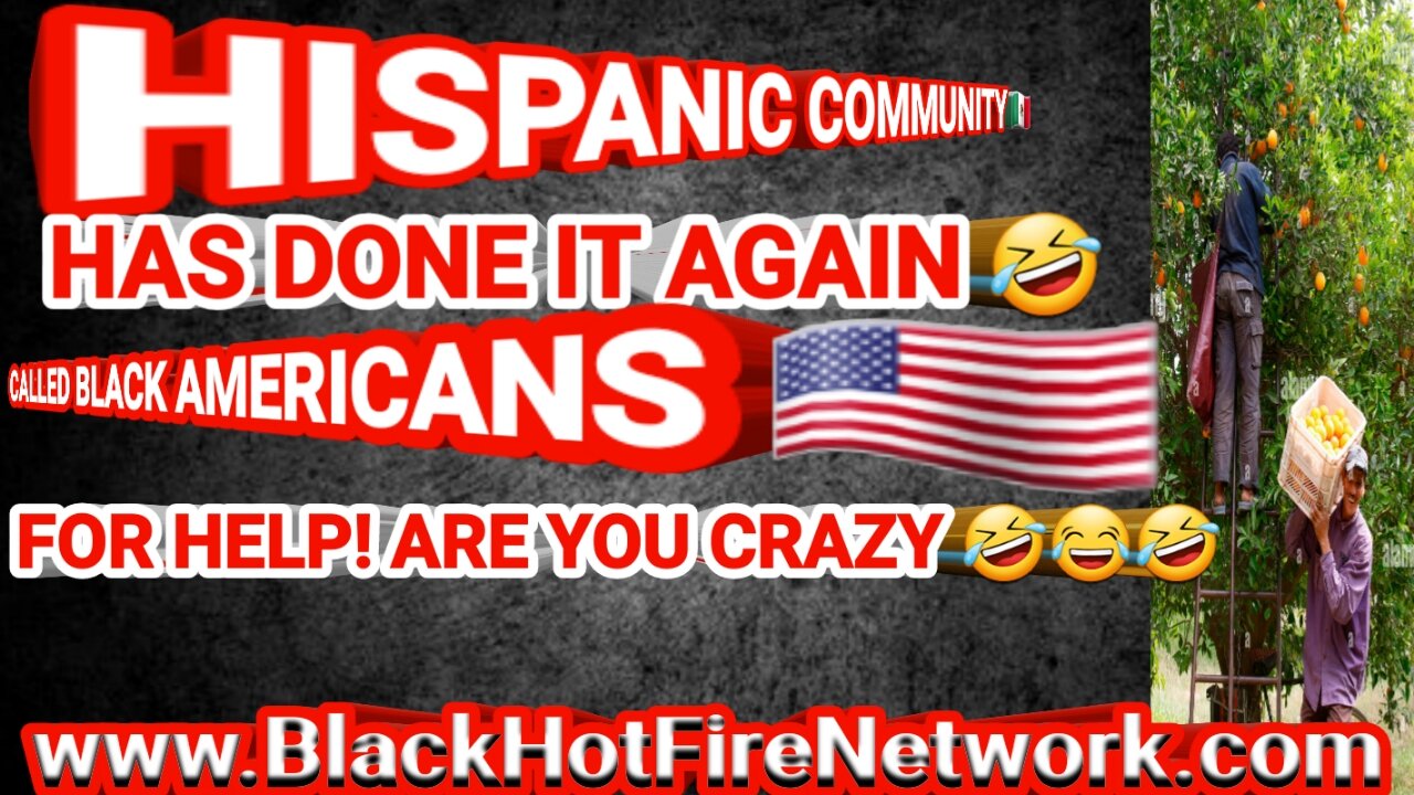 HISPANIC COMMUNITY HAS DONE IT AGAIN CALLED BLACK AMERICANS FOR HELP! ARE YOU CRAZY HELL NO