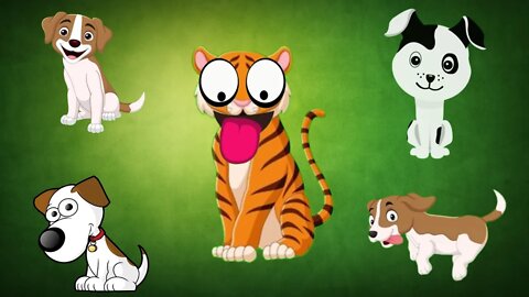 Tiger Dog Funny Video @MK Billu