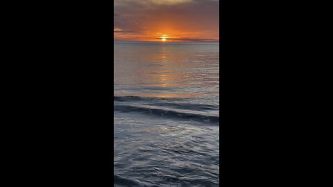 Sunset In Paradise #FYP #MarcoIsland #SunsetLover #sunset #4K