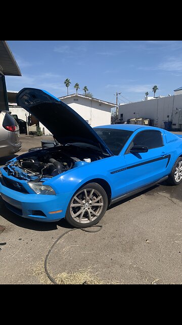 Super Charged 3.7L Mustang~Electric Blue~