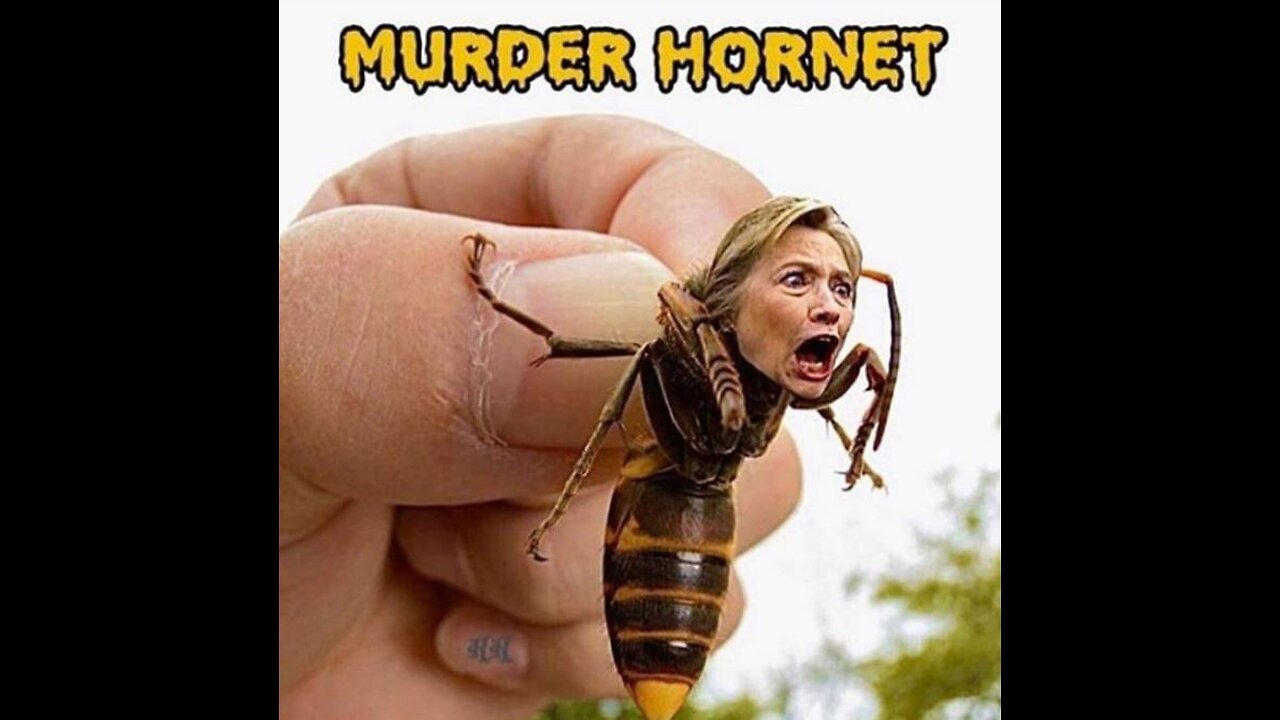HARD TO FIND! That Time Hillary Clinton said: "WE NEED SOROS" As He Walks On The Stage