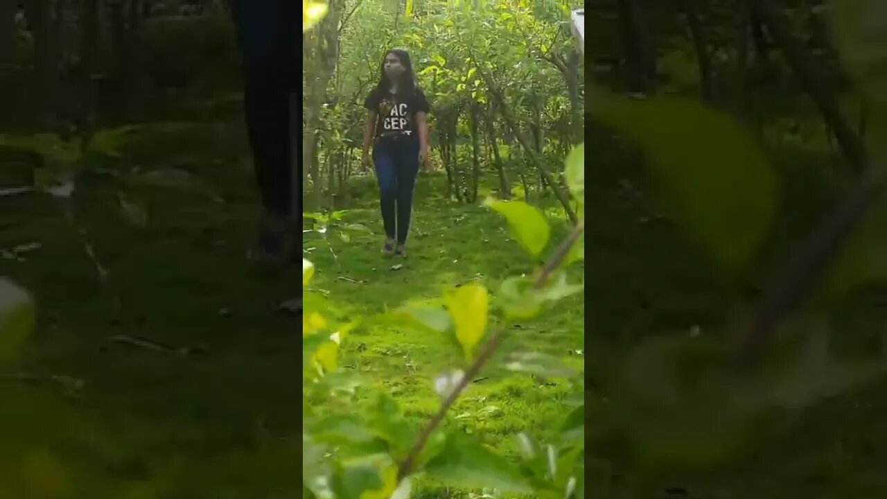 Daily vlog coming soon