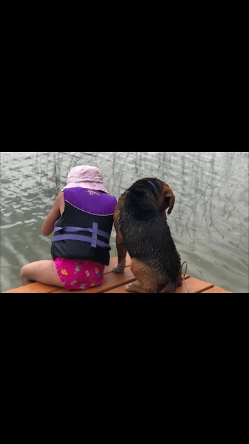 Amazing she Beagle puppy buries bread in tools #shorts