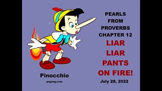 LIAR LIAR PANTS ON FIRE ...PINOCCHIO SYNDROME