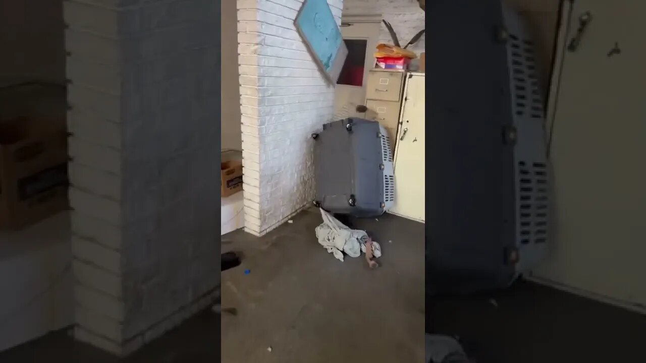 Rei do esconde esconde 😂😂