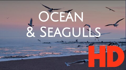 Get your relaxing Status immediately! Imagine chilling in California