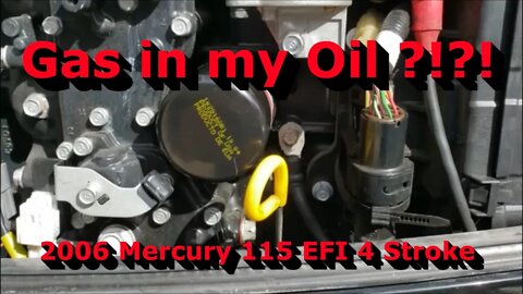 Gas in my Oil? Mercury Outboard Motor Issue Fixed