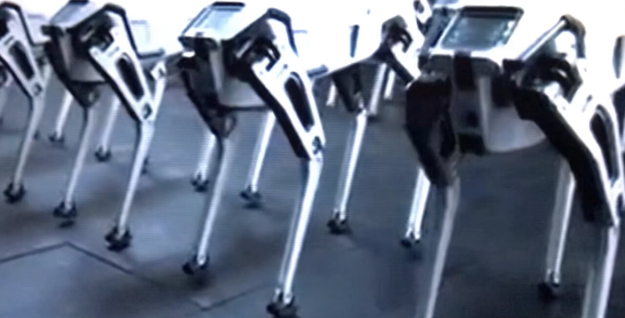 Pt 1 Where leftist Ai Leads. Robo dogs. Why they hate ar15s. kamikazi drone