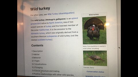 Wcbm.com talk radio 680 Ghanghaton Michigan garden of weedin marijuana Wild Turkeys