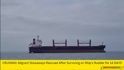 CRUISING: Migrant Stowaways Rescued After Surviving on Ship's Rudder for 14 DAYS