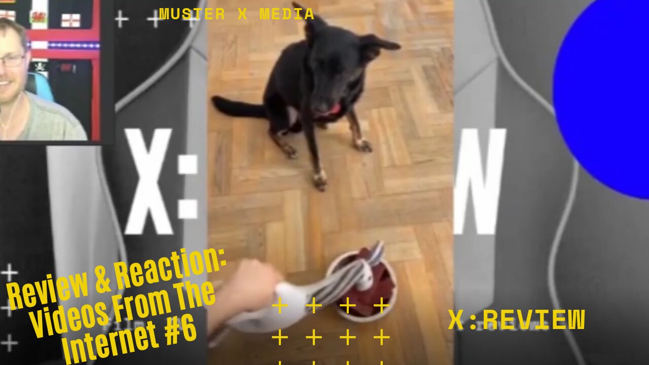 Review and Reaction: Videos From The Internet #6